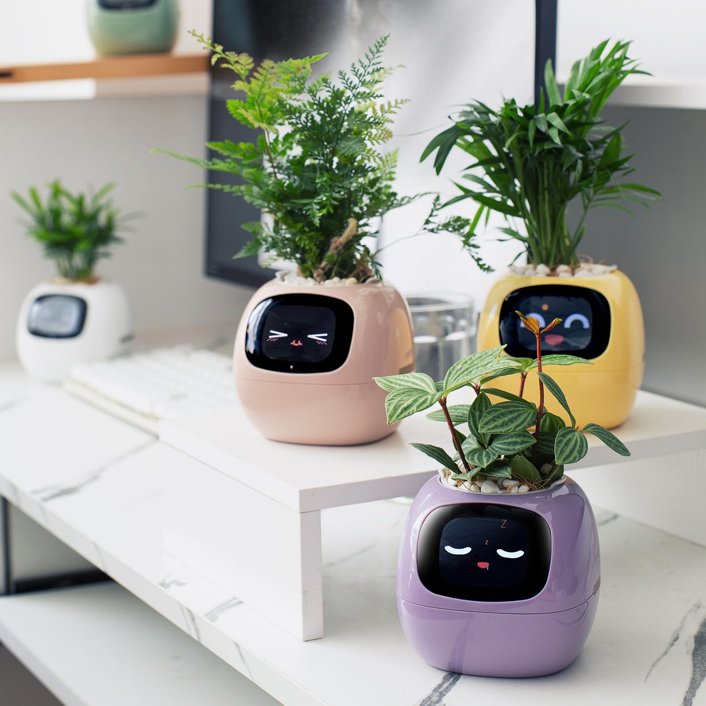 Smart Plant Care Robot - Easy Plant Care at Your Fingertips