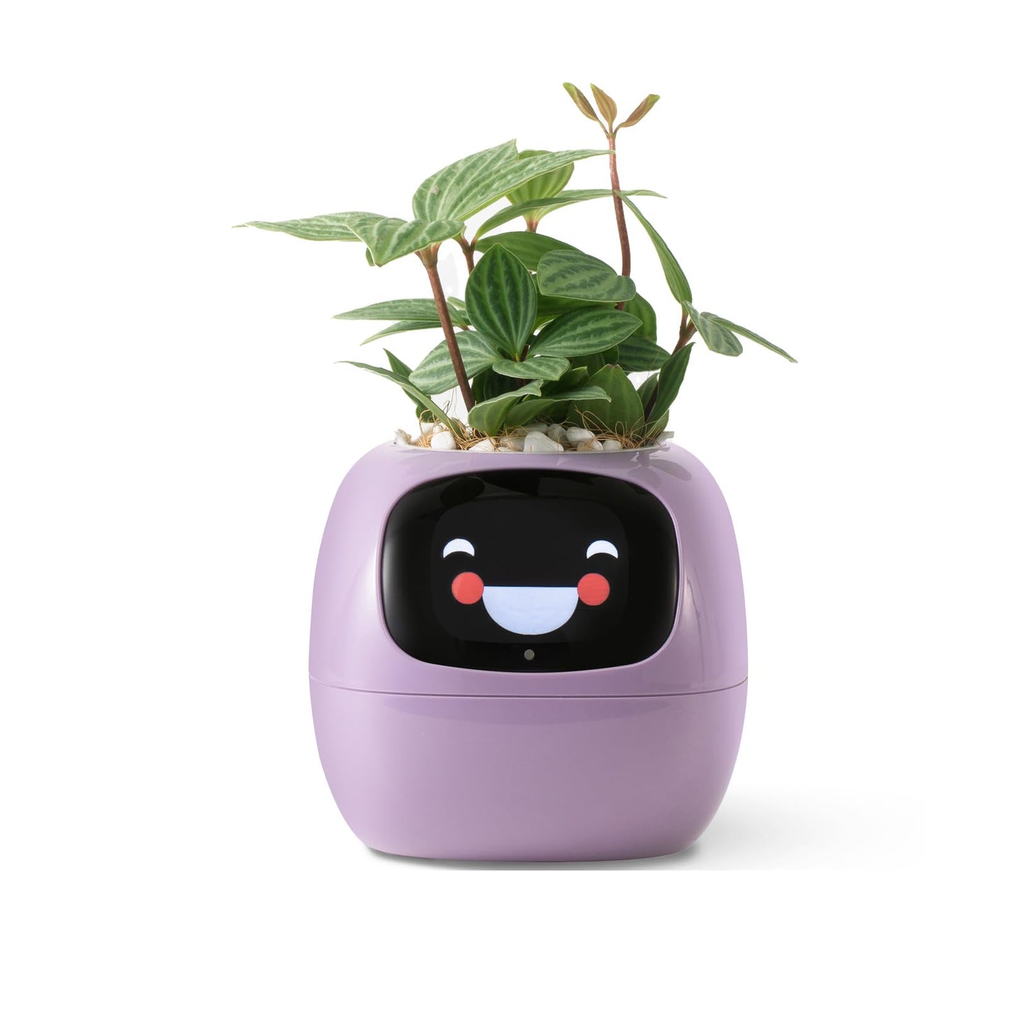 Smart Plant Care Robot - Easy Plant Care at Your Fingertips