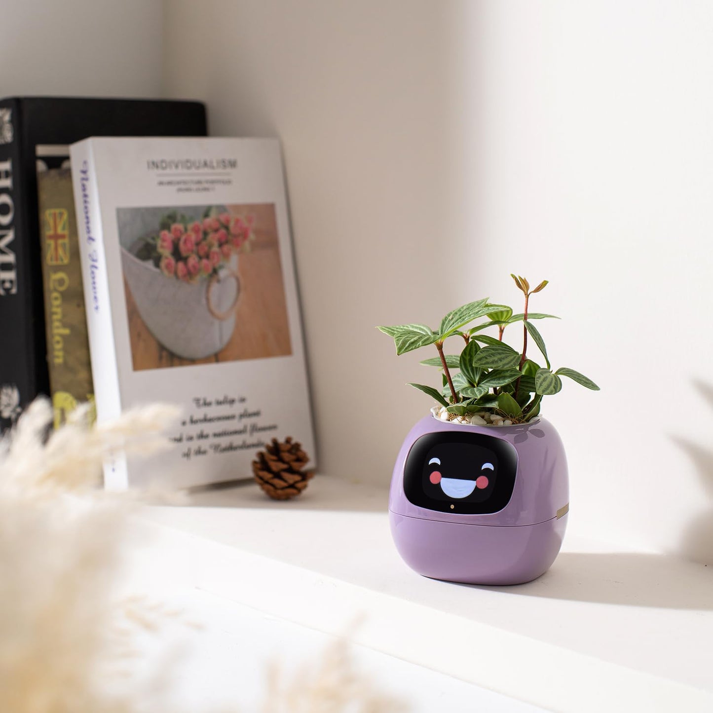 Smart Plant Care Robot - Easy Plant Care at Your Fingertips