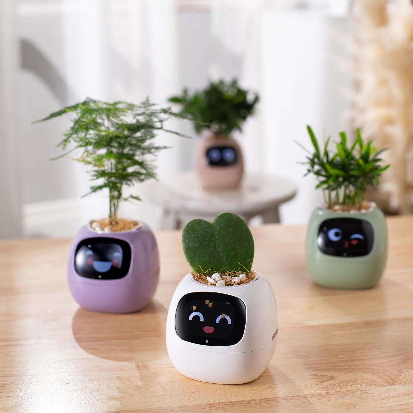 Smart Plant Care Robot - Easy Plant Care at Your Fingertips
